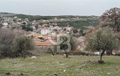 BALIKESİR AYVALIK ÜÇKABAĞAÇ MAHALLESİNDE SATILIK ARSA