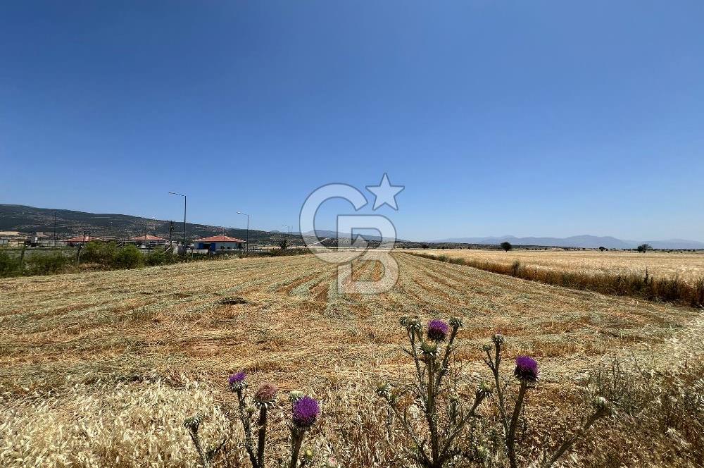 Serinhisar Cumhuriyet Mahallesinde 2.876,00 m² Satılık Tarla