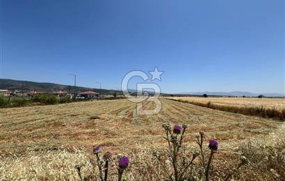 Serinhisar Cumhuriyet Mahallesinde 2.876,00 m² Satılık Tarla