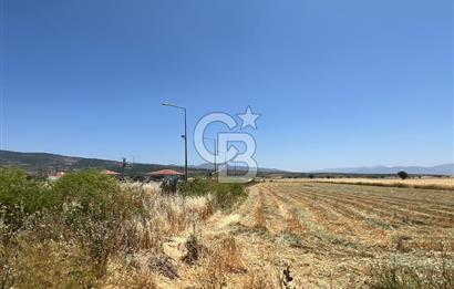 Serinhisar Cumhuriyet Mahallesinde 2.876,00 m² Satılık Tarla