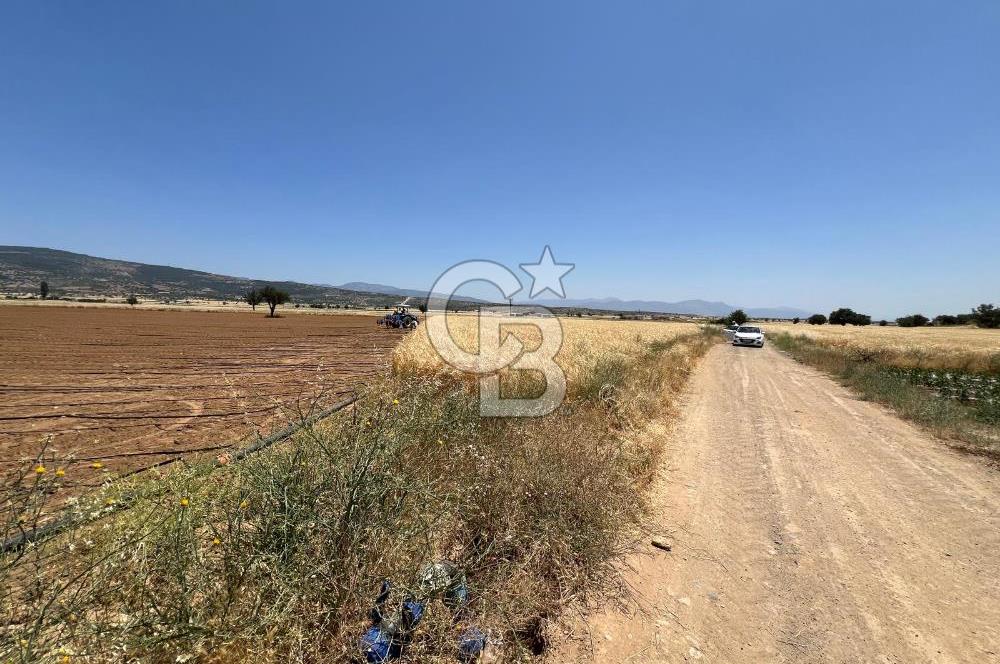 Serinhisar Cumhuriyet Mahallesinde 3.211 m² Satılık Tarla