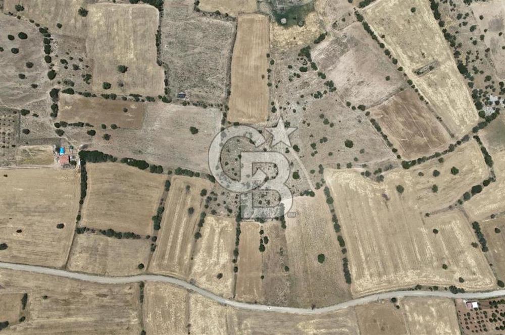Serinhisar Cumhuriyet Mahallesinde 11.573,46 m² Satılık Tarla