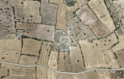 Serinhisar Cumhuriyet Mahallesinde 11.573,46 m² Satılık Tarla