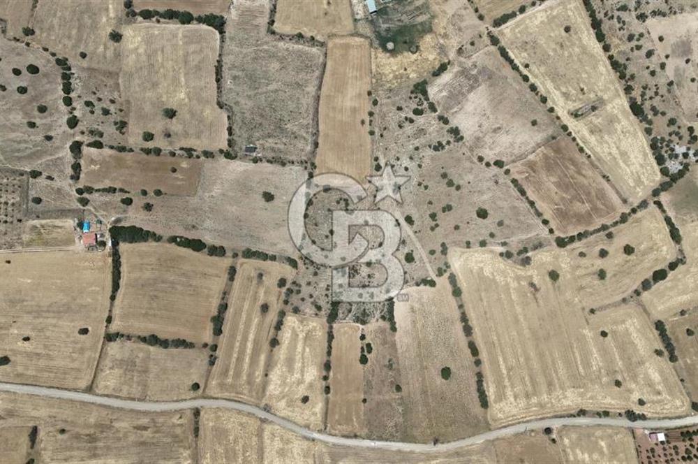 Serinhisar Cumhuriyet Mahallesinde 11.573,46 m² Satılık Tarla