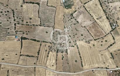 Serinhisar Cumhuriyet Mahallesinde 11.573,46 m² Satılık Tarla