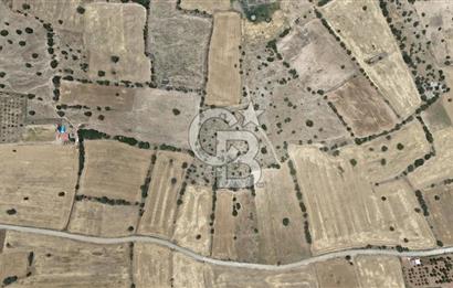 Serinhisar Cumhuriyet Mahallesinde 11.573,46 m² Satılık Tarla