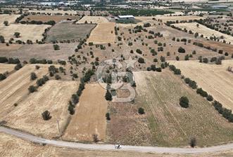 Serinhisar Cumhuriyet Mahallesinde 11.573,46 m² Satılık Tarla