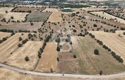 Serinhisar Cumhuriyet Mahallesinde 11.573,46 m² Satılık Tarla