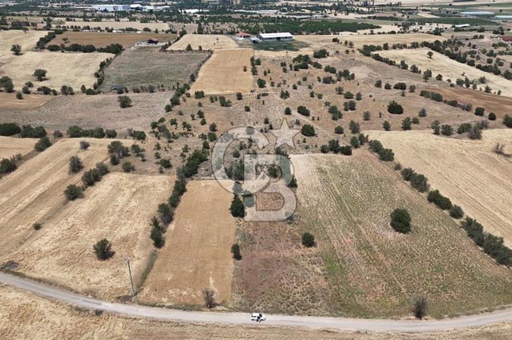 Serinhisar Cumhuriyet Mahallesinde 11.573,46 m² Satılık Tarla