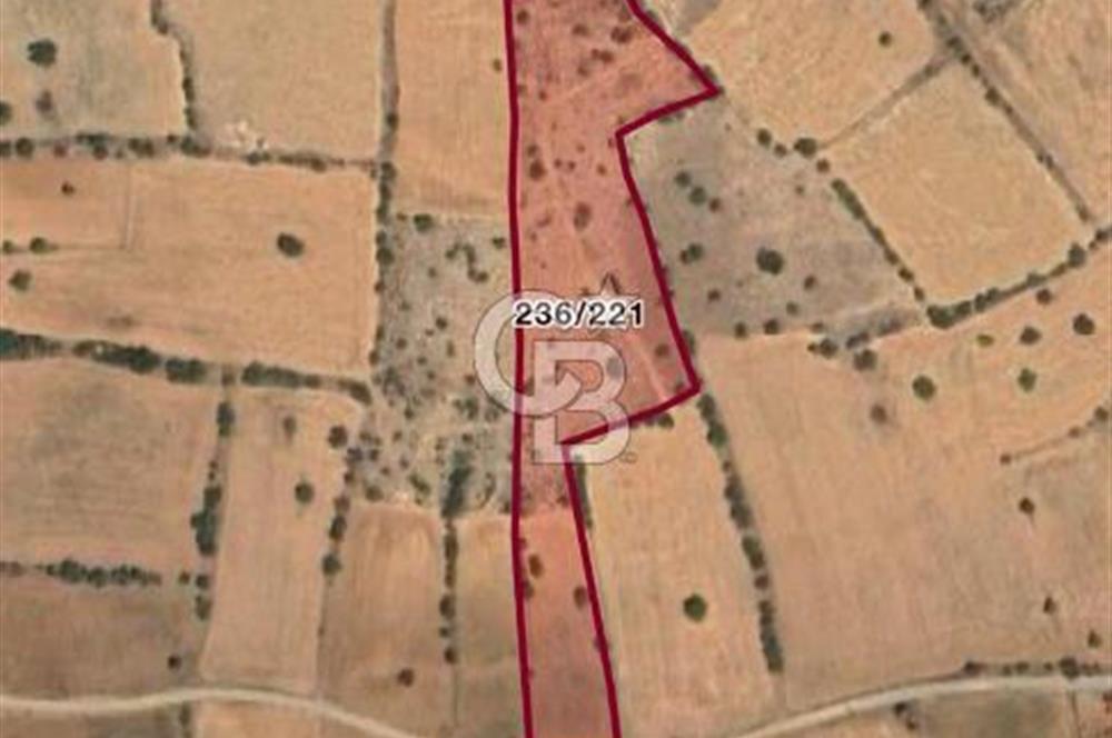 Serinhisar Cumhuriyet Mahallesinde 11.573,46 m² Satılık Tarla
