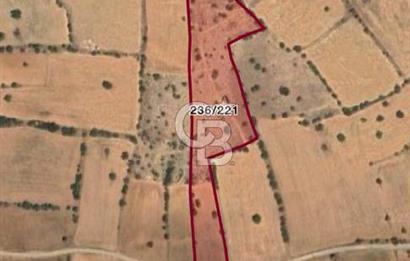 Serinhisar Cumhuriyet Mahallesinde 11.573,46 m² Satılık Tarla