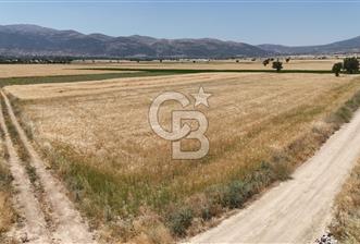 Serinhisar Cumhuriyet Mahallesinde 7.002 m² Satılık Tarla
