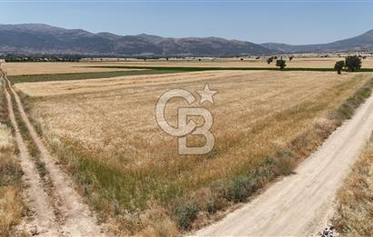 Serinhisar Cumhuriyet Mahallesinde 7.002 m² Satılık Tarla