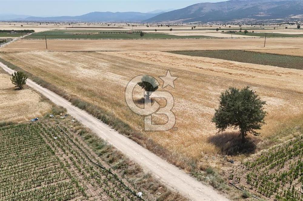 Serinhisar Cumhuriyet Mahallesinde 7.002 m² Satılık Tarla