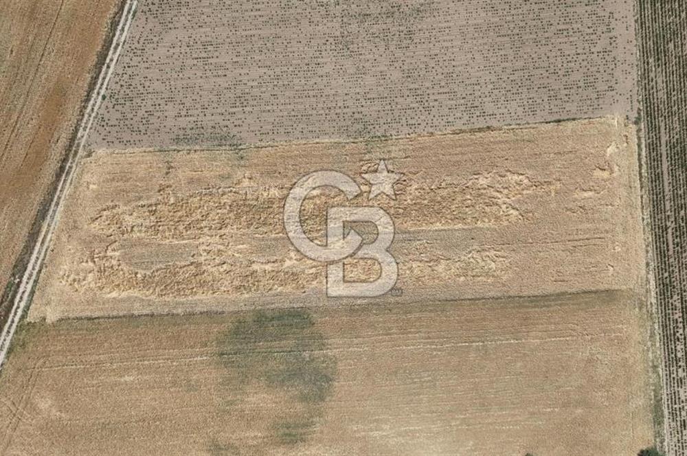Serinhisar Cumhuriyet Mahallesinde 7.002 m² Satılık Tarla