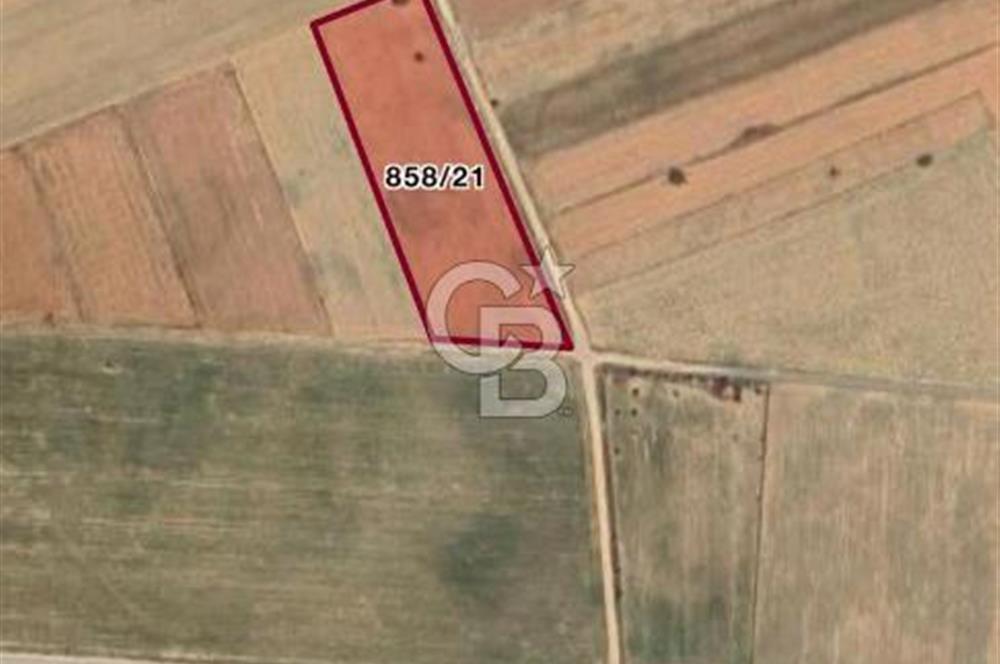 Serinhisar Cumhuriyet Mahallesinde 7.002 m² Satılık Tarla