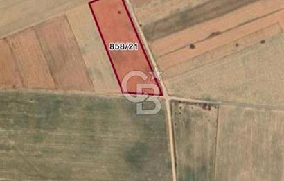 Serinhisar Cumhuriyet Mahallesinde 7.002 m² Satılık Tarla