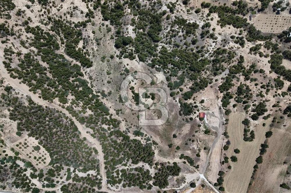 Serinhisar Yatağan Mahallesinde 12.099 m² Satılık Tarla