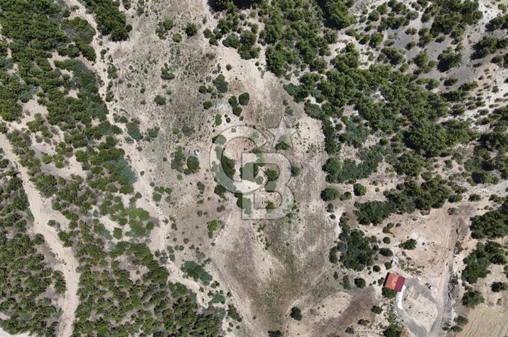 Serinhisar Yatağan Mahallesinde 12.099 m² Satılık Tarla