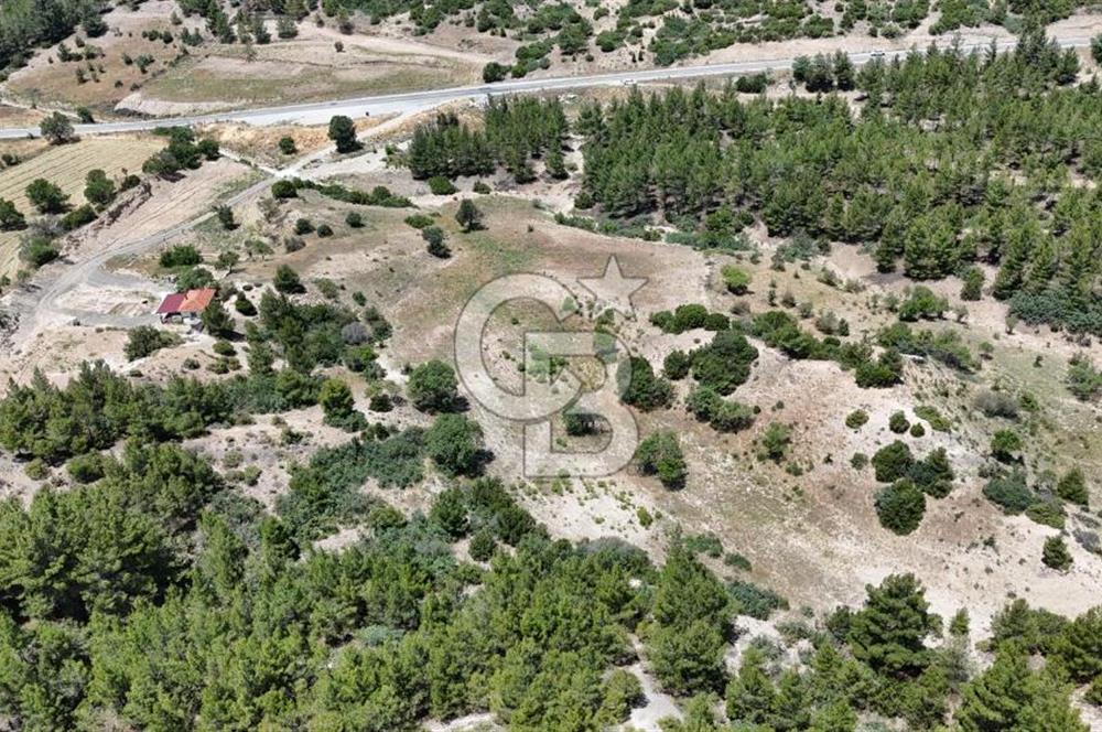 Serinhisar Yatağan Mahallesinde 12.099 m² Satılık Tarla