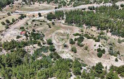 Serinhisar Yatağan Mahallesinde 12.099 m² Satılık Tarla