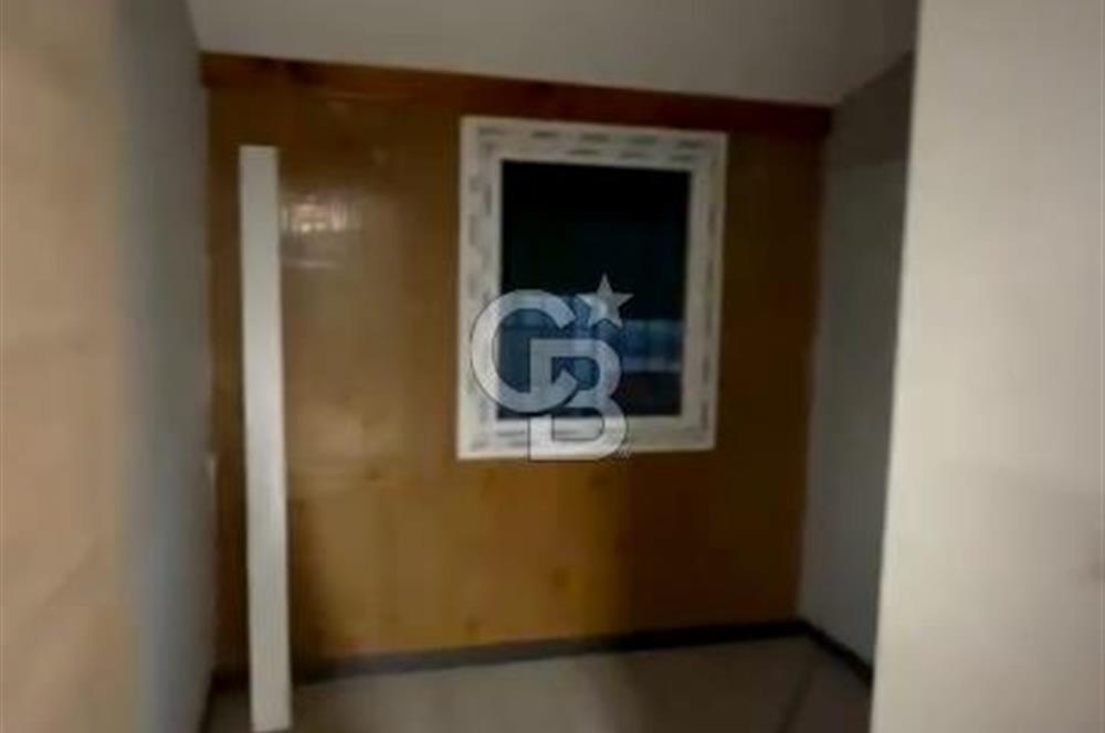 mazı mahallesinde satılık 4.479 m2 zeytinlik