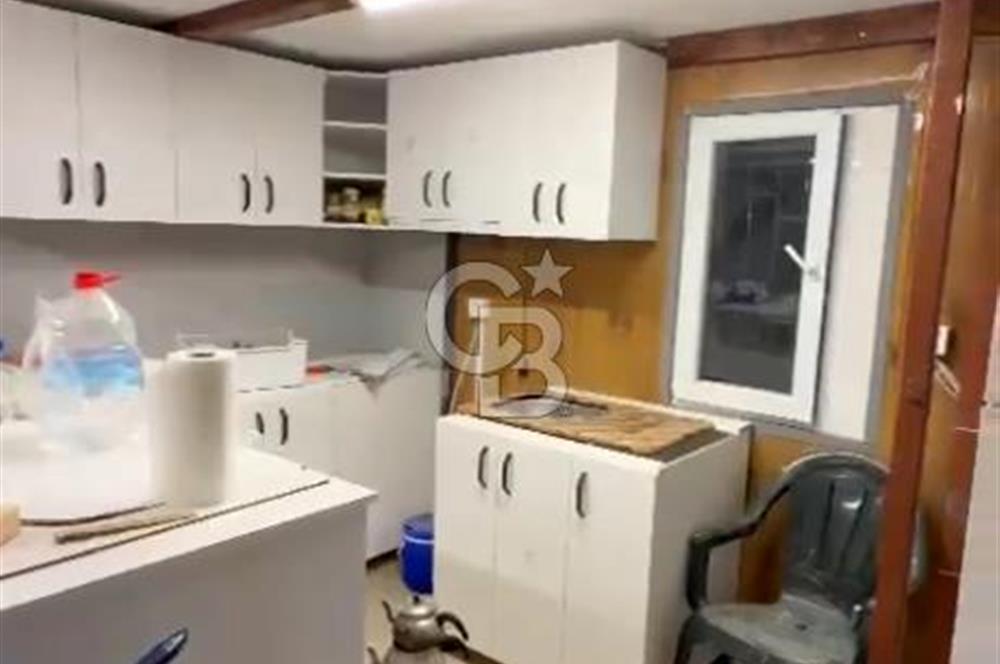 mazı mahallesinde satılık 4.479 m2 zeytinlik