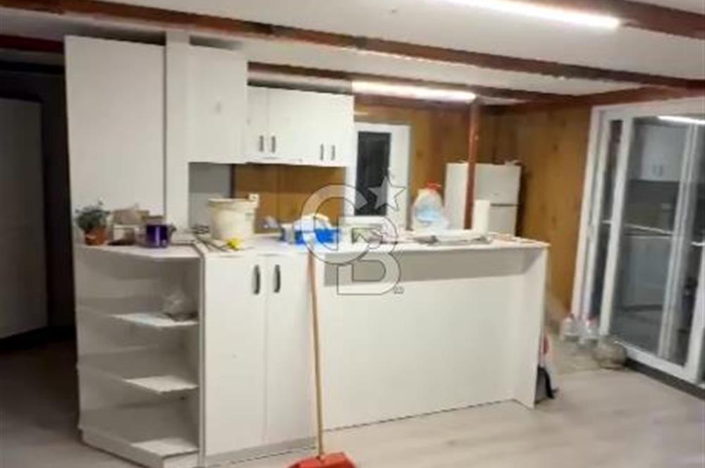 mazı mahallesinde satılık 4.479 m2 zeytinlik
