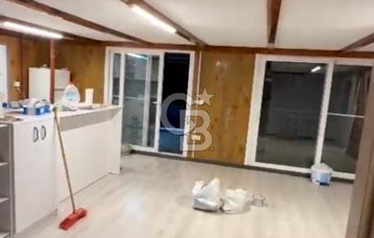 mazı mahallesinde satılık 4.479 m2 zeytinlik