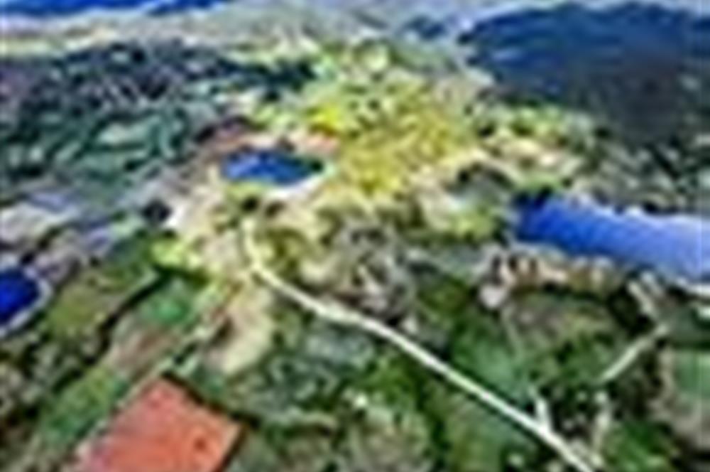 ÇANAKKALE YENİCEDE SATILIK TARLA