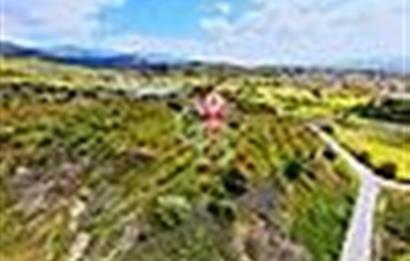 ÇANAKKALE YENİCEDE SATILIK TARLA