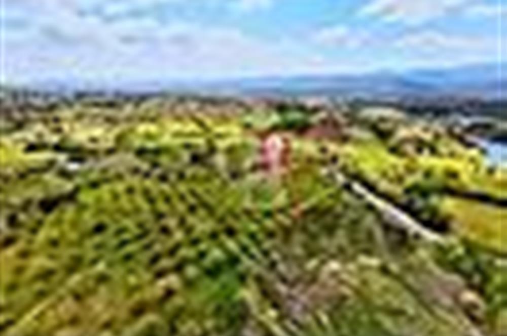 ÇANAKKALE YENİCEDE SATILIK TARLA