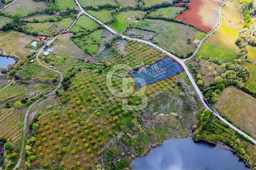 ÇANAKKALE YENİCEDE SATILIK TARLA