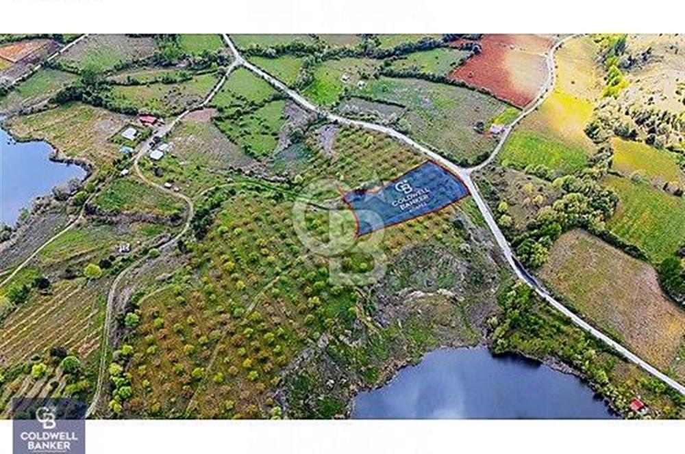 ÇANAKKALE YENİCEDE SATILIK TARLA