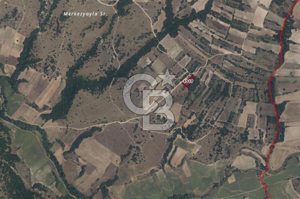 🏡 EDİRNE / UZUNKÖPRÜ – KIRKKAVAK KÖYÜ’NDE SATILIK VERİMLİ TARLA 🌱