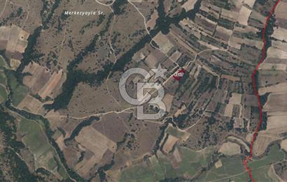 🏡 EDİRNE / UZUNKÖPRÜ – KIRKKAVAK KÖYÜ’NDE SATILIK VERİMLİ TARLA 🌱