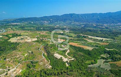Kuşadası Soğucak’ta 502,10m² Satılık Konut İmarlı Arsa!