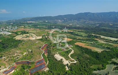  Kuşadası Soğucak’ta 367,97m²  Satılık Konut İmarlı Arsa!