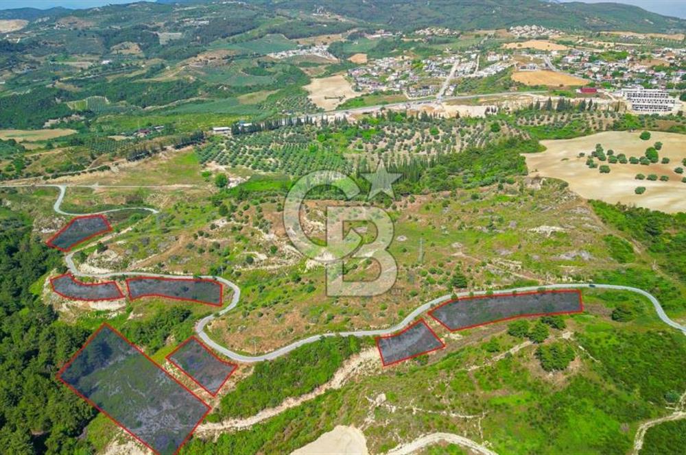 Kuşadası Soğucak’ta Doğayla İç İçe Satılık Arsa!
