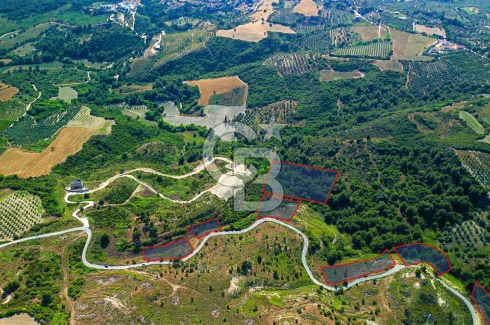 Kuşadası Soğucak’ta 502,10m² Satılık Konut İmarlı Arsa!