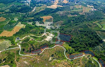 Kuşadası Soğucak’ta 502,10m² Satılık Konut İmarlı Arsa!