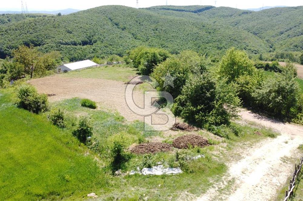 Derince Tahtalı da 5 Adet Villa Projeli Satılık Köy içi Parsel