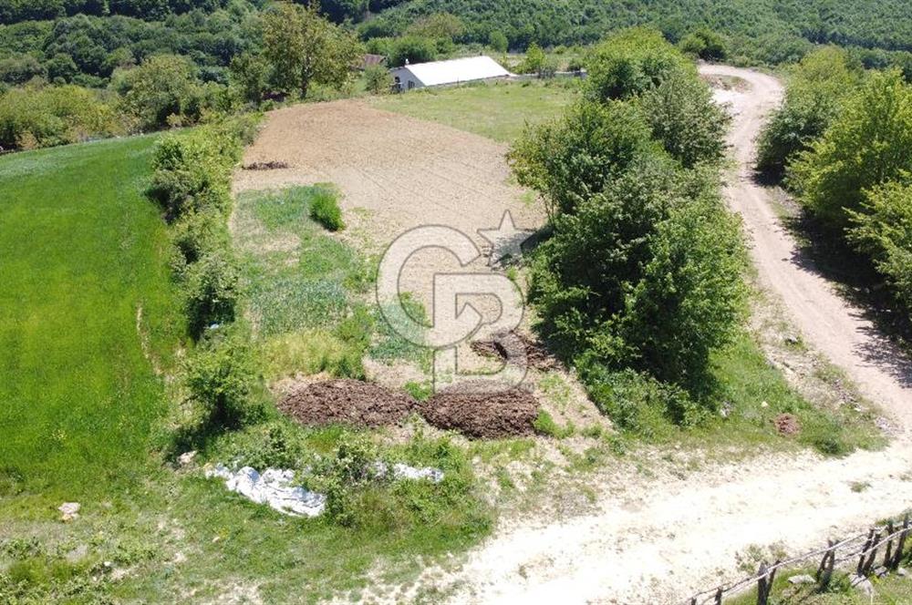 Derince Tahtalı da 5 Adet Villa Projeli Satılık Köy içi Parsel