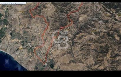 DİKİLİ'DE ÇANAKKALE ASFALTINA 4KM MESAFEDE 50 DÖNÜM ZEYTİNLİK !!
