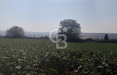 Tekirdağ Zafer Mahallesi Satılık 6202 M2 Arazi