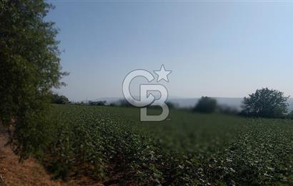 Tekirdağ Zafer Mahallesi Satılık 6202 M2 Arazi