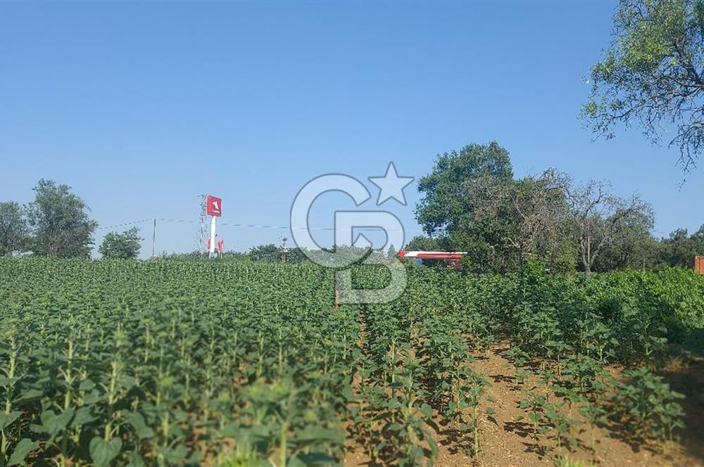 Tekirdağ Zafer Mahallesi Satılık 6202 M2 Arazi
