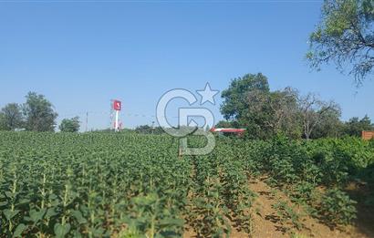 Tekirdağ Zafer Mahallesi Satılık 6202 M2 Arazi