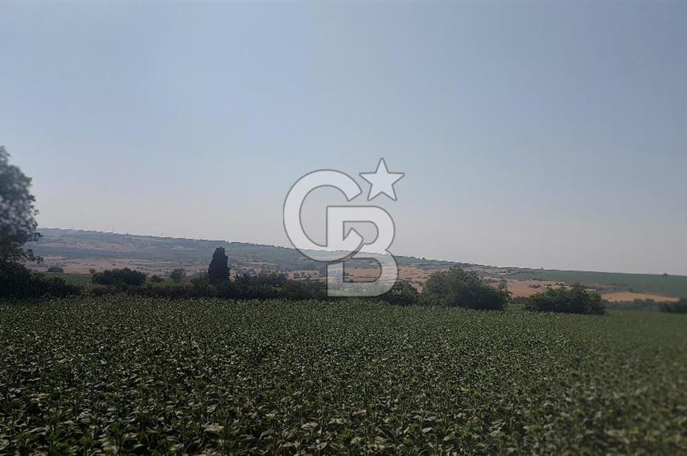 Tekirdağ Zafer Mahallesi Satılık 6202 M2 Arazi