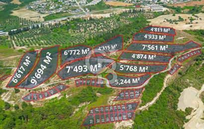 Kuşadası Soğucak’ta 317,31m² Satılık Konut İmarlı Arsa!